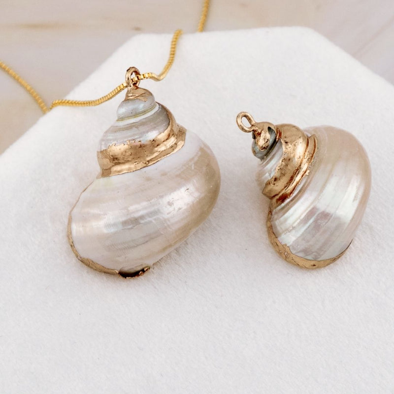 Dije concha de mar decorada en baño de 18k